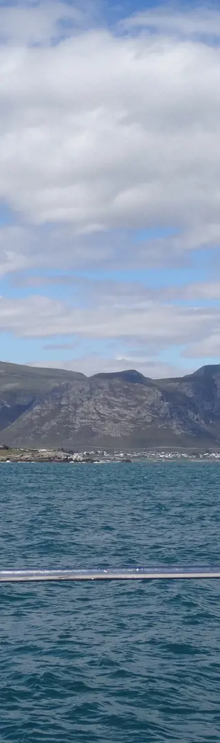 Hermanus